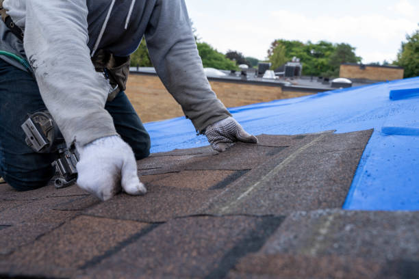 Best Commercial Roof Installation  in Loyola, CA