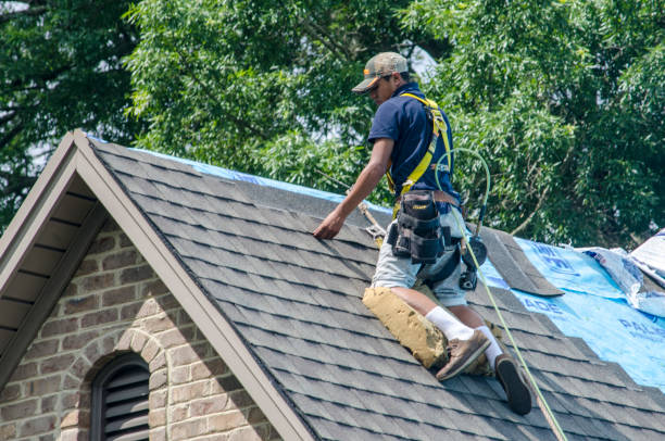 Best Roof Gutter Cleaning  in Loyola, CA